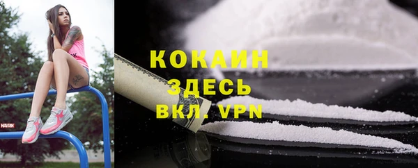 соль ск Алексеевка
