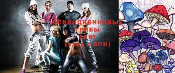 соль ск Алексеевка